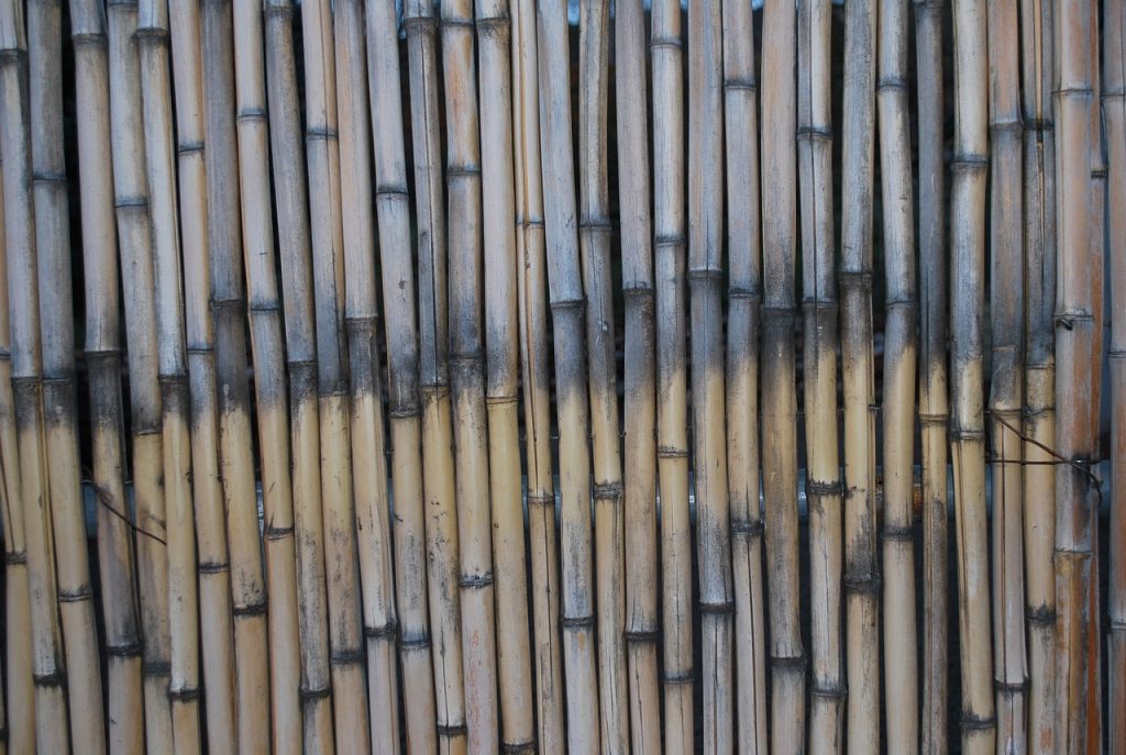bamboo, macro, texture